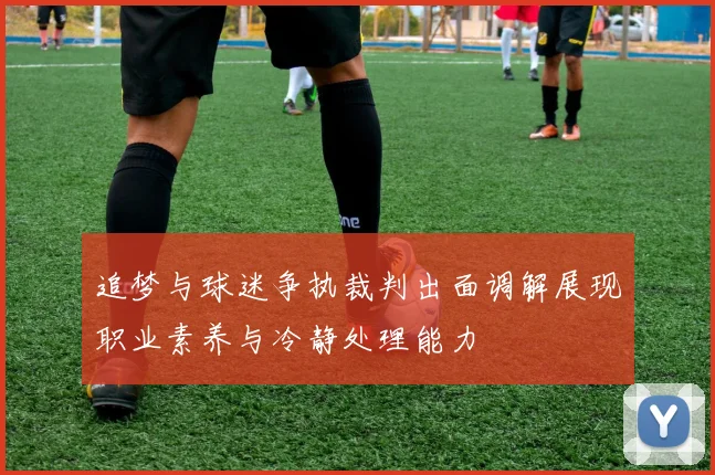 追梦与球迷争执裁判出面调解展现职业素养与冷静处理能力