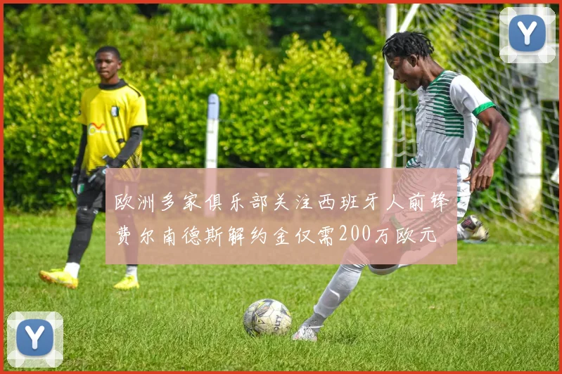 欧洲多家俱乐部关注西班牙人前锋费尔南德斯解约金仅需200万欧元