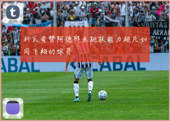 科瓦奇赞阿德耶米跳跃能力超凡如同飞翔的球员